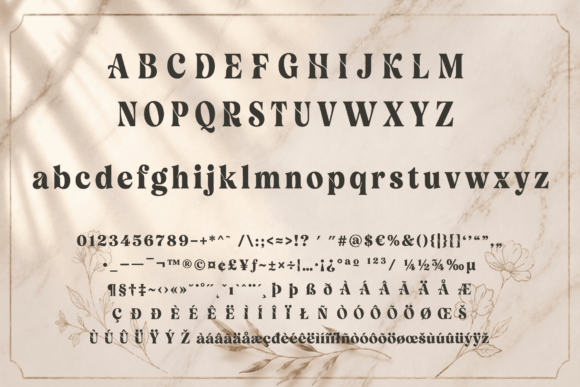 Velour Delamio: The Display Serif Commanding Modern Design